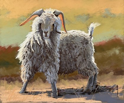 March 2025: This month’s blog has the highly accomplished Natasha Isenhour, asking us to consider the limitations that may come from the use of categories in defining our art.